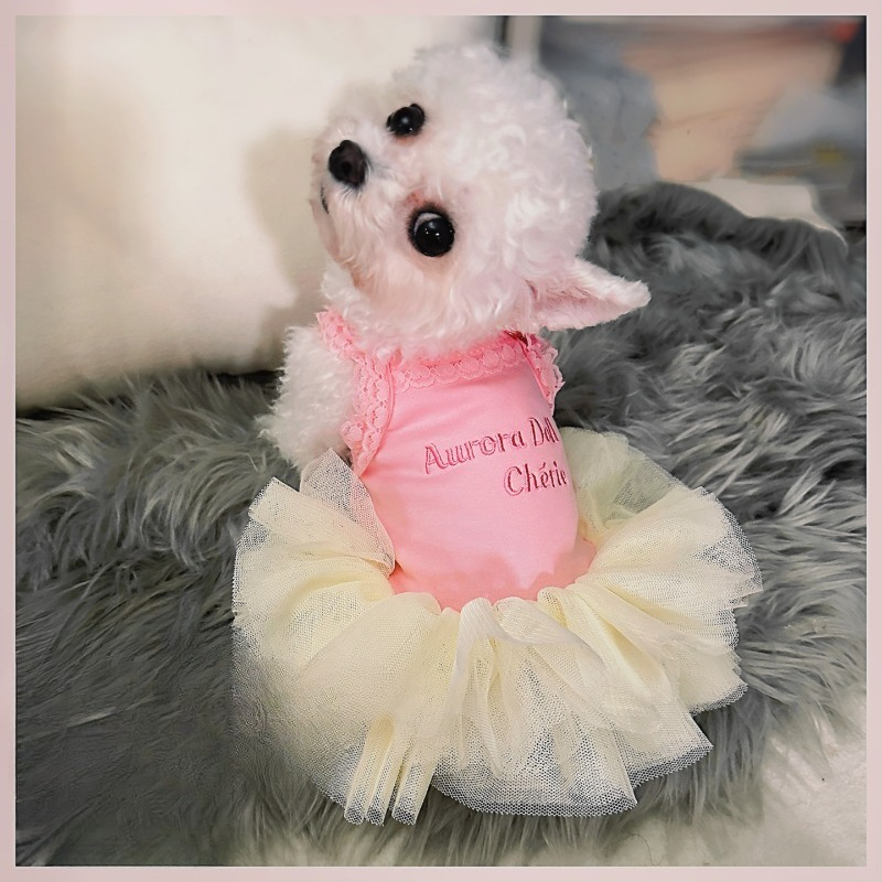 Pink Lace Strap Pet Princess T - Embroidery Cream ulasan dan harga