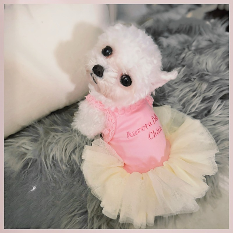 Pink Lace Strap Pet Princess T - Embroidery Cream ulasan dan harga